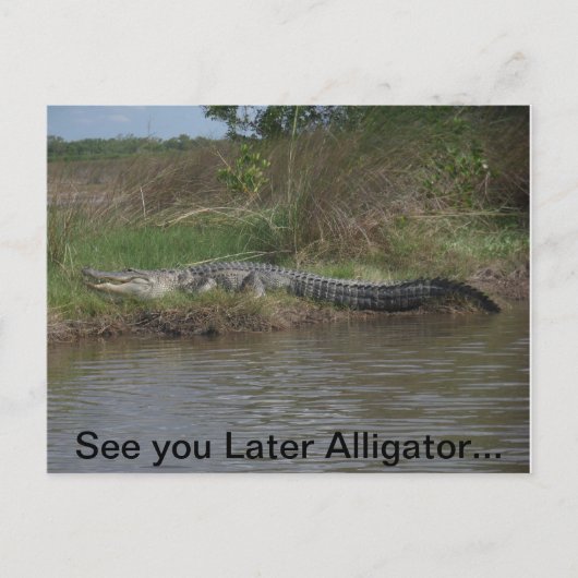 Zie je later alligator briefkaart (Voorkant)