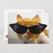 Zie je snel - Briefkaart met koude kat (Voorkant / Achterkant)