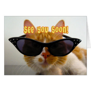 Zie je snel - Cool Cat