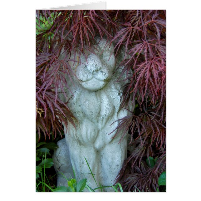 Zie me Roar (Voorkant)