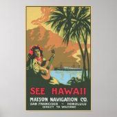 Zie Poster Hawaii (Voorkant)