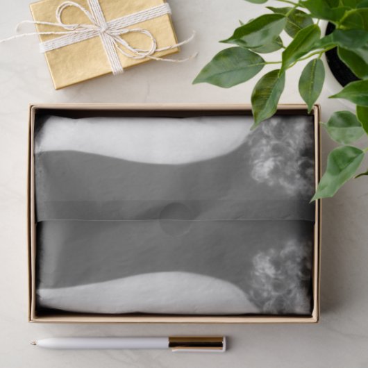 Ziegfeld Follies Girl 1920 Tissuepapier (Geschenk)