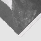 Ziegfeld Follies Girl 1920 Tissuepapier (Detail)