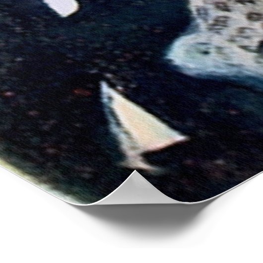 Ziegfeld Follies Poster Print (Hoek)