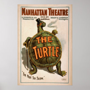 ZIEGFELD'S HET Poster TURTLE Play VAUDEVILLE