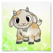 Zieglein Foto Afdruk (Voorkant)