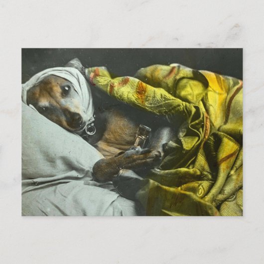 Ziek als een hond Word snel gezond  toverlantaarn Briefkaart (Voorkant)