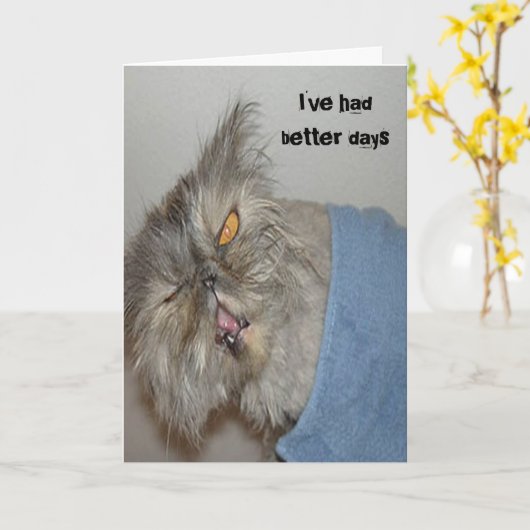 Ziek kat kaart (Gele Bloem)