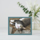Zieke Huis Kat Met Dromerige Ogen Sneller Beter We Briefkaart (Staand voorkant)