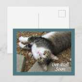 Zieke Huis Kat Met Dromerige Ogen Sneller Beter We Briefkaart (Voorkant / Achterkant)