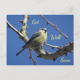Zieke Kaart met Kleine Vogel en Blauwe Lucht