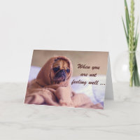 Zieke Pug Dog, Sympathie, Humor.