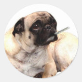 Zieke pug met thermometer stickers (Voorkant)