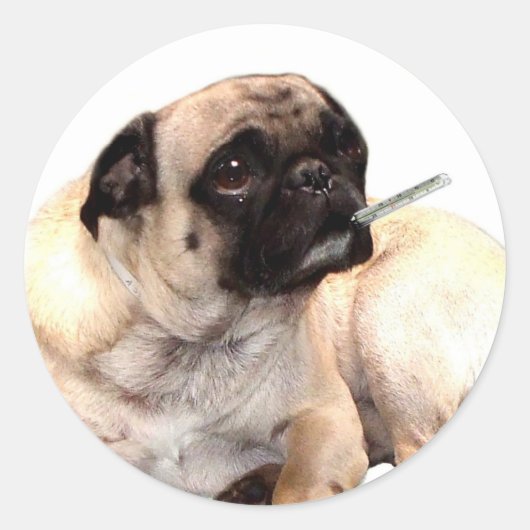 Zieke pug met thermometer stickers (Voorkant)