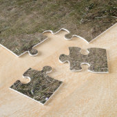 Ziekenlandschap met zand- en grasvoetfoto legpuzzel (Zijkant)