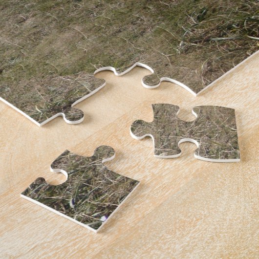 Ziekenlandschap met zand- en grasvoetfoto legpuzzel (Zijkant)
