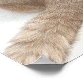 Ziekteverzekering Poster (Hoek)