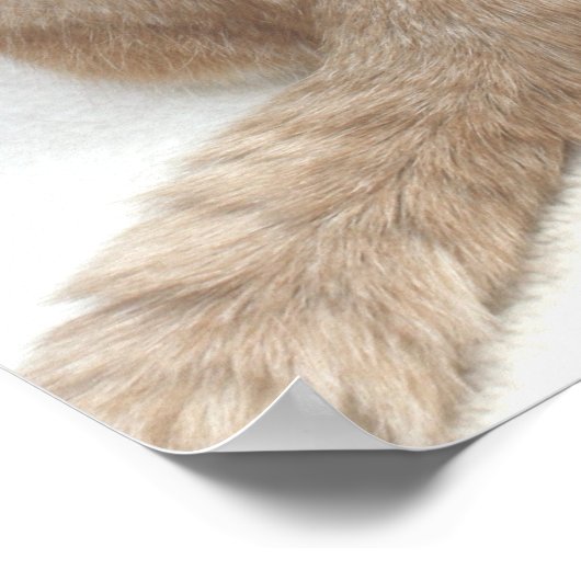 Ziekteverzekering Poster (Hoek)