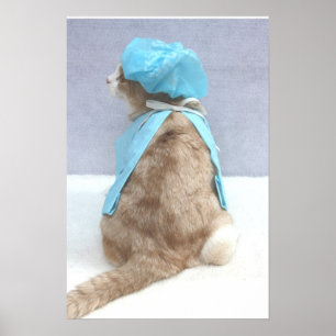 Ziekteverzekering Poster