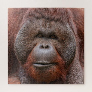 Ziel onder de Flenzen – Orang-oetan Gezicht Legpuzzel