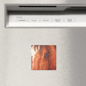 Ziel - Paard Magneet (Insitu (Vaatwasser))