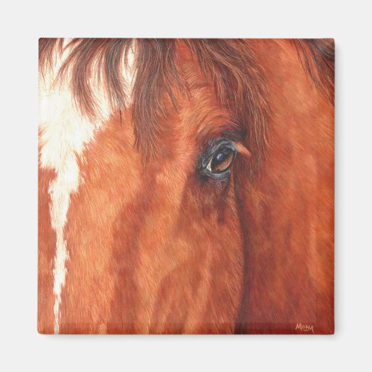 Ziel - Paard Magneet (Voorkant)