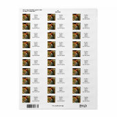 Ziel van de Roos John William Waterhouse Etiket (Full Sheet)