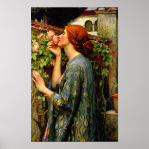 Ziel van de Roos John William Waterhouse Poster