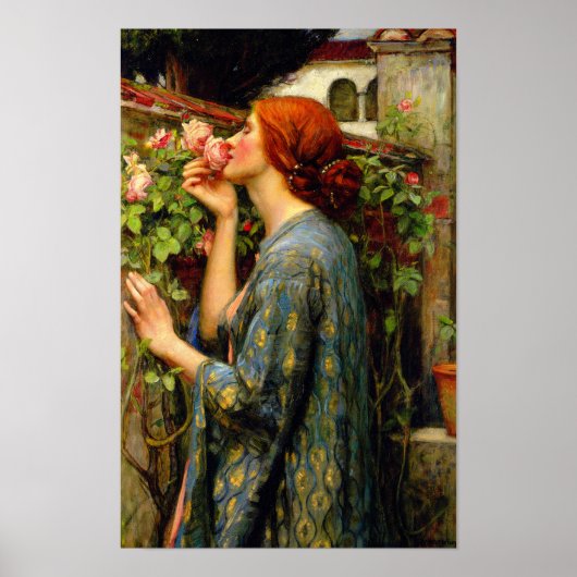 Ziel van de Roos John William Waterhouse Poster (Voorkant)