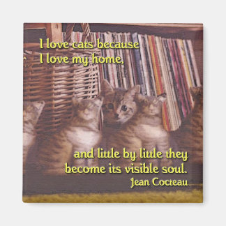 Ziel van een Home Cat Magnet