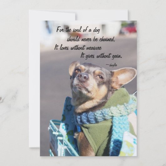 Ziel van een Hond - Chihuahua Feestdagenkaart (Voorkant)