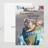 Ziel van een Hond - Chihuahua Feestdagenkaart (Voorkant / Achterkant)