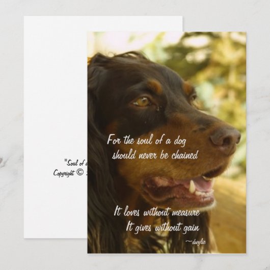 Ziel van een Hond Feestdagenkaart (Voorkant / Achterkant)