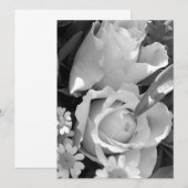 zielig roos (Voorkant / Achterkant)