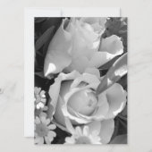 zielig roos (Voorkant)