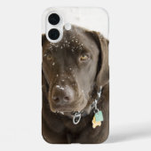 Zielvolle Sneeuw Besprenkeld Chocolade Labrador Case-Mate iPhone Case (Achterkant)