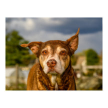 Zielvolle tekening van een brindle hond