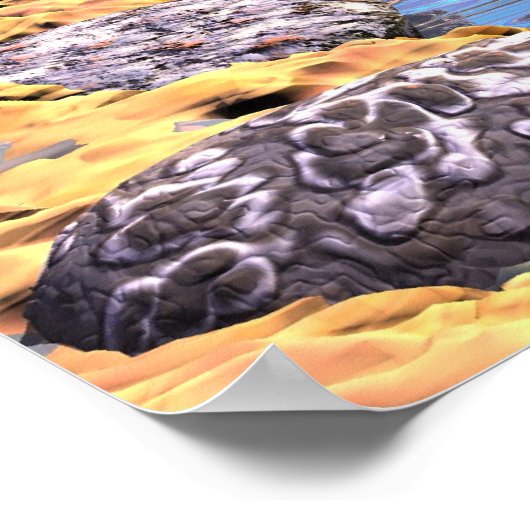 Zien is geloven poster (Hoek)