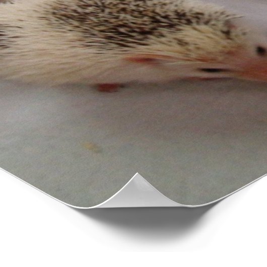 Zien van vlekken? poster (Hoek)