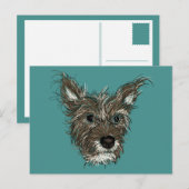 ziepups briefkaart (Voorkant / Achterkant)