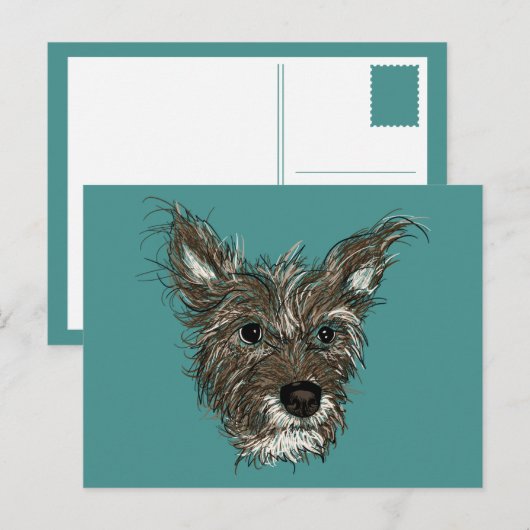 ziepups briefkaart (Voorkant / Achterkant)