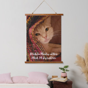 Ziet er te veel maandag uit, knuffelkat onder de d hangend wandkleed
