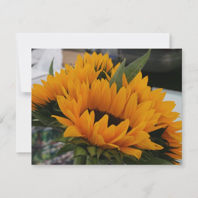 Ziet eruit als een zonnebloem (Voorkant)