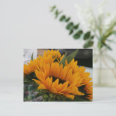 Ziet eruit als een zonnebloem briefkaart (Staand voorkant)
