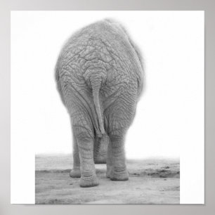 Ziet mijn tas er groot uit poster