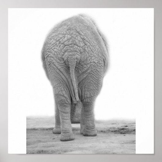 Ziet mijn tas er groot uit poster (Voorkant)