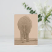 ziet mijn zwerver eruit als grote sepia briefkaart (Staand voorkant)