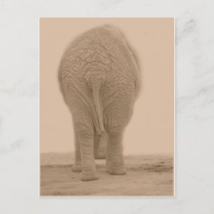 ziet mijn zwerver eruit als grote sepia briefkaart