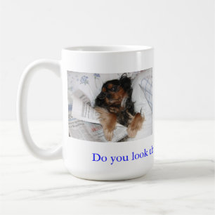 Ziet U Er Net Zo Goed Uit Cavalier King Charles Mo Koffiemok