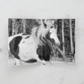 Zigeuner in het bos - Vakantie paard wenskaart Kaart (Binnen)